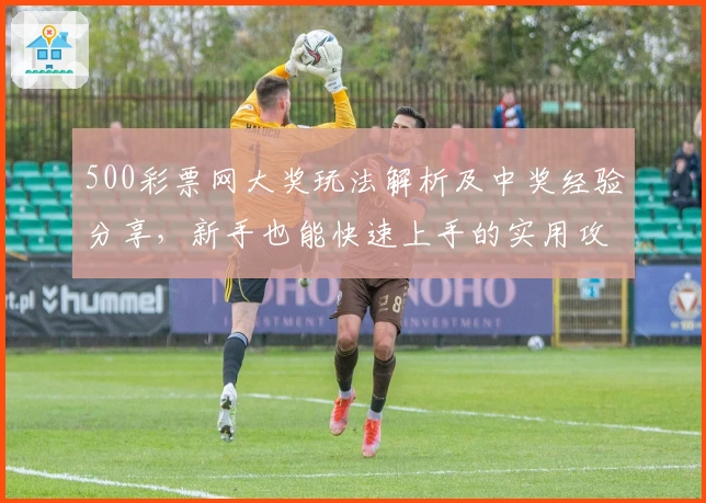 500彩票网大奖玩法解析及中奖经验分享，新手也能快速上手的实用攻略