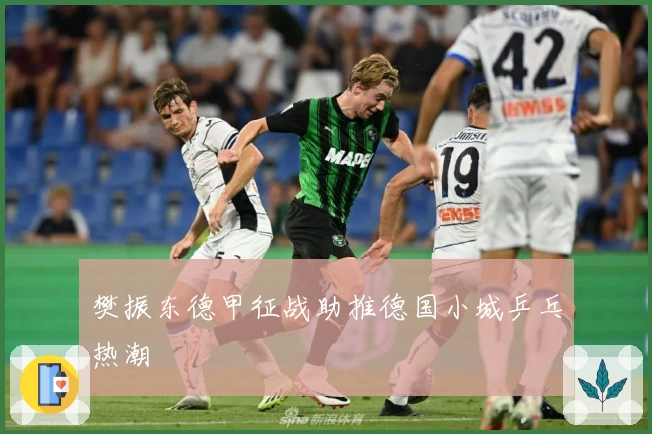 樊振东德甲征战助推德国小城乒乓热潮