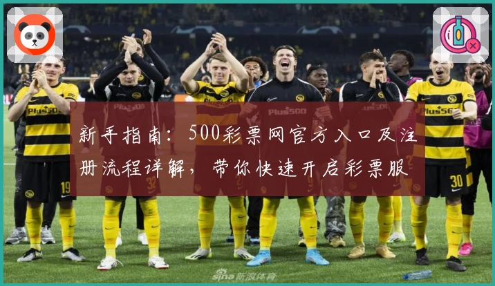 新手指南：500彩票网官方入口及注册流程详解，带你快速开启彩票服务新体验