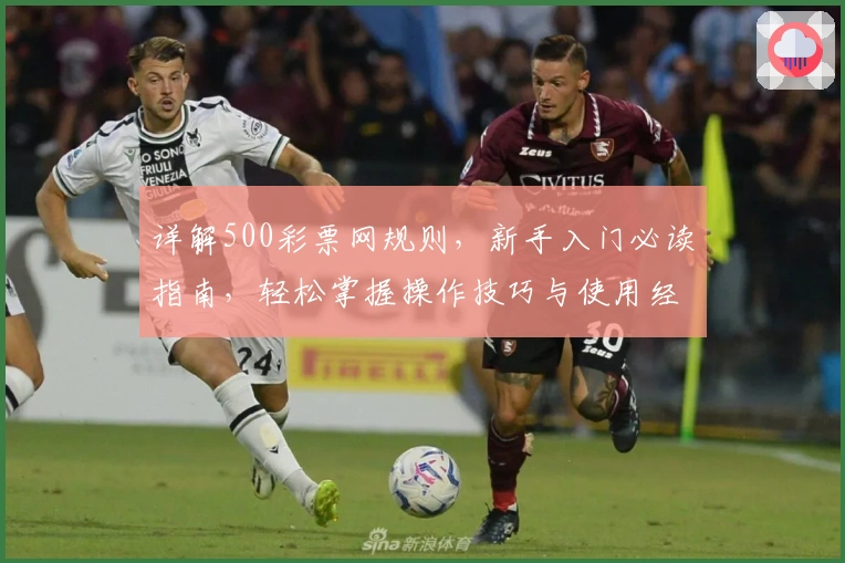 详解500彩票网规则，新手入门必读指南，轻松掌握操作技巧与使用经验